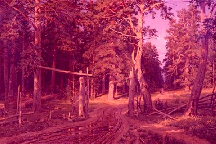 escort Shishkin Les