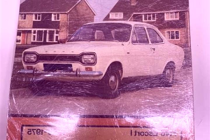 escort Showa