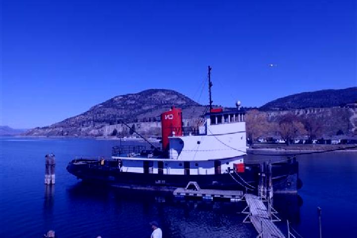 escort Sicamous