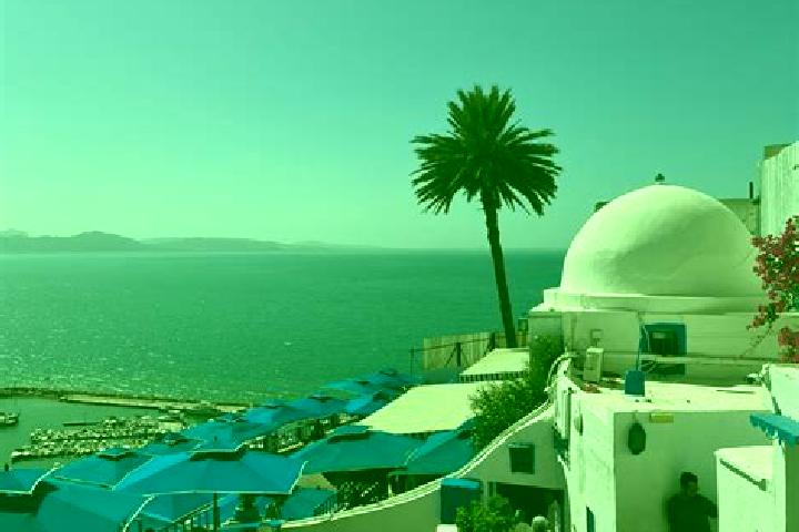 escort Sidi Bou Ali