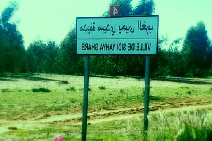 escort Sidi Yahia El Gharb