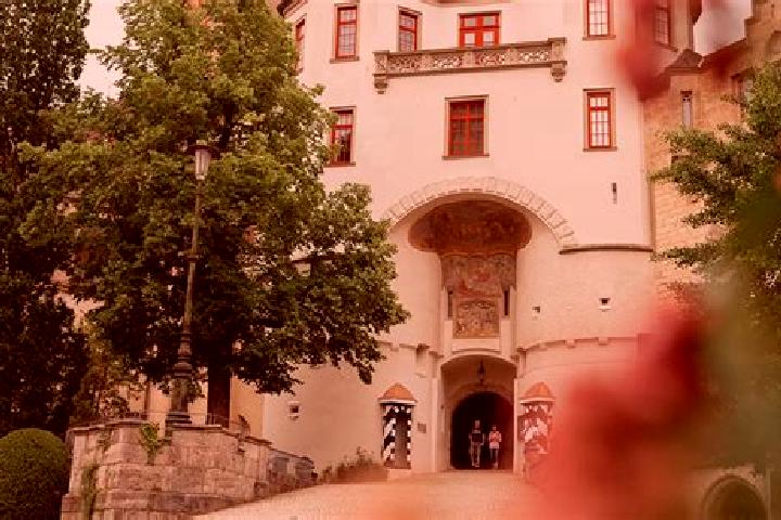 escort Sigmaringen