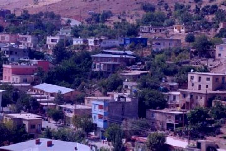 escort Siirt