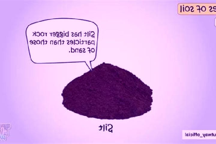escort Silt
