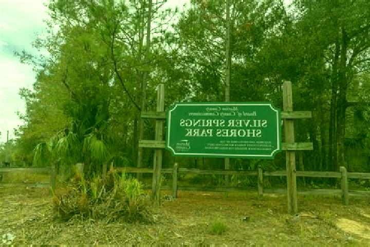 escort Silver Springs Shores