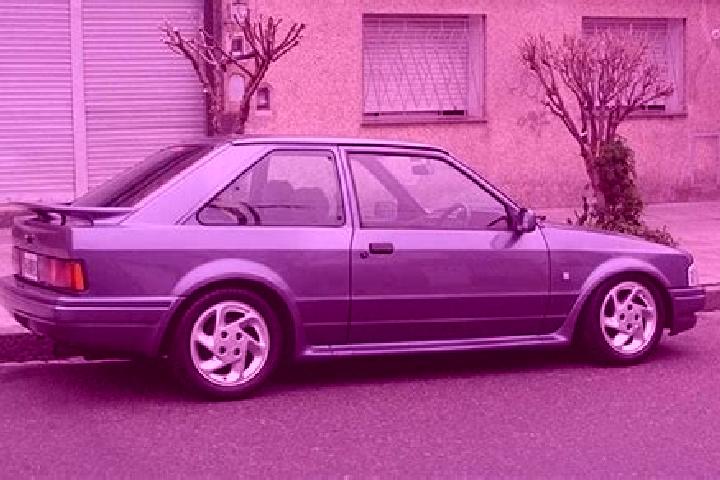 escort Sinaai