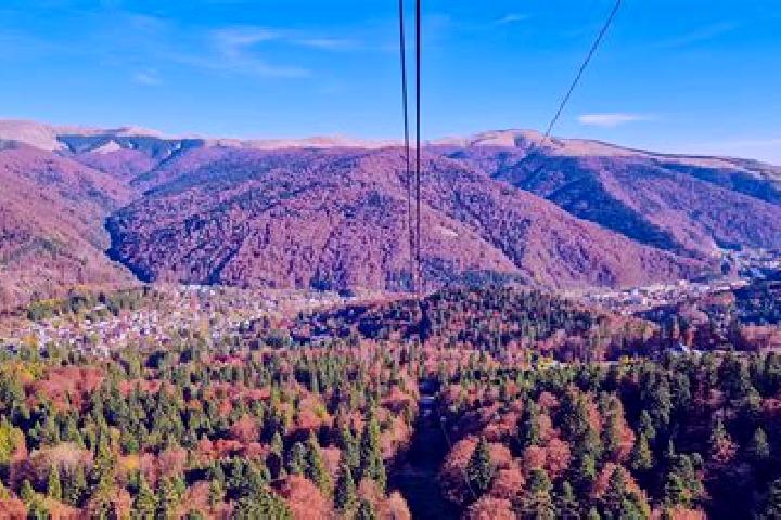 escort Sinaia