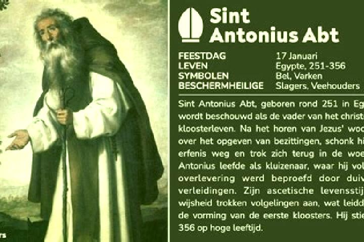 escort Sint-Antonius