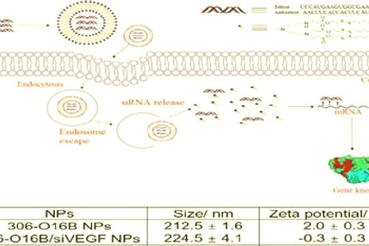 escort Sirna