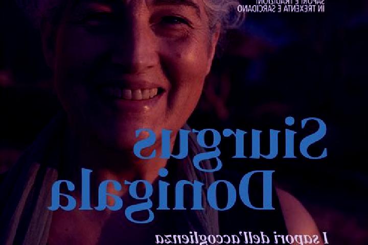 escort Siurgus Donigala