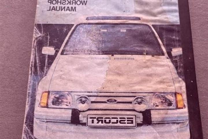escort Skaerplinge