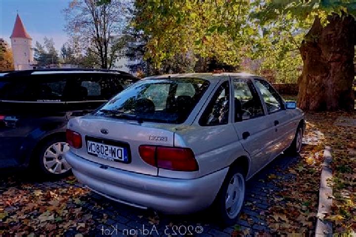 escort Skanovo