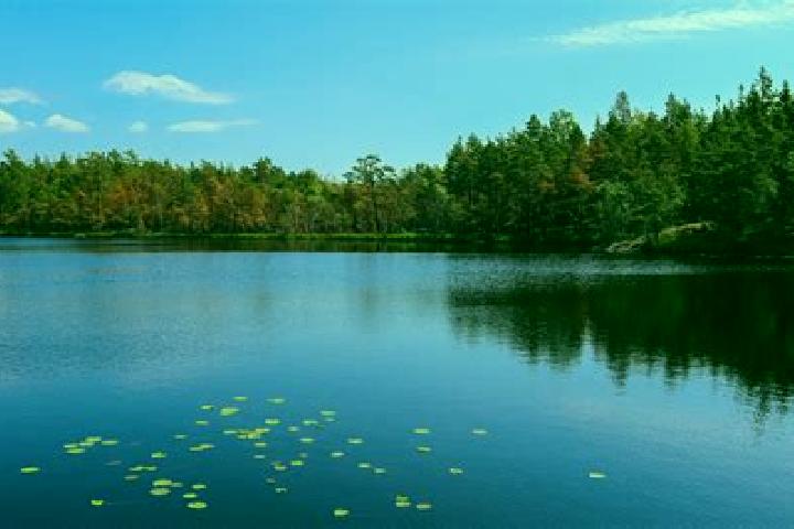 escort Sky Lake