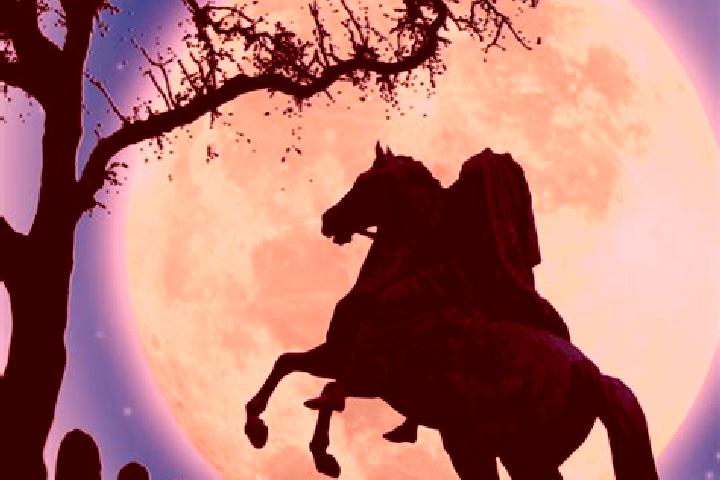 escort Sleepy Hollow