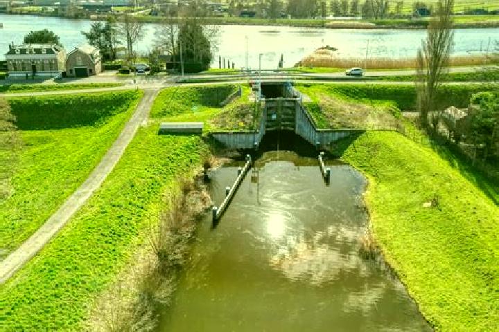 escort Sluis