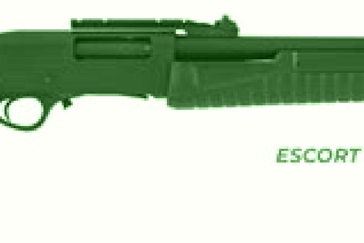 escort Slup
