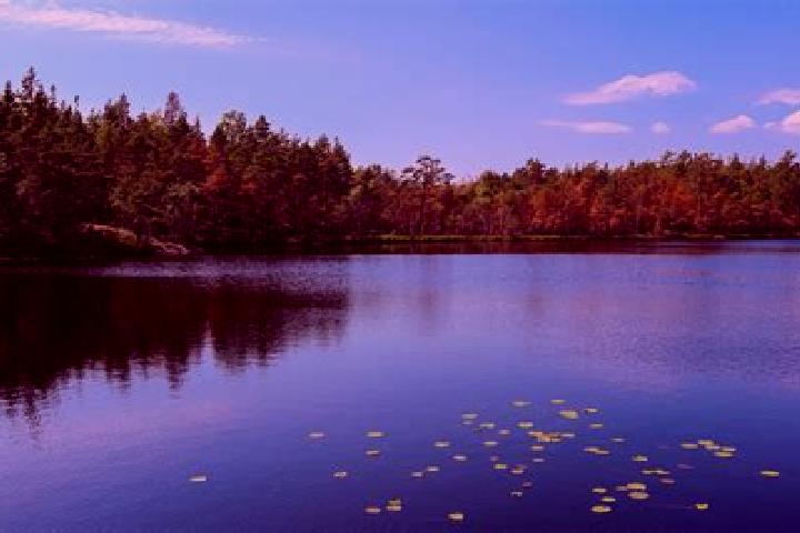 escort Smiths Lake
