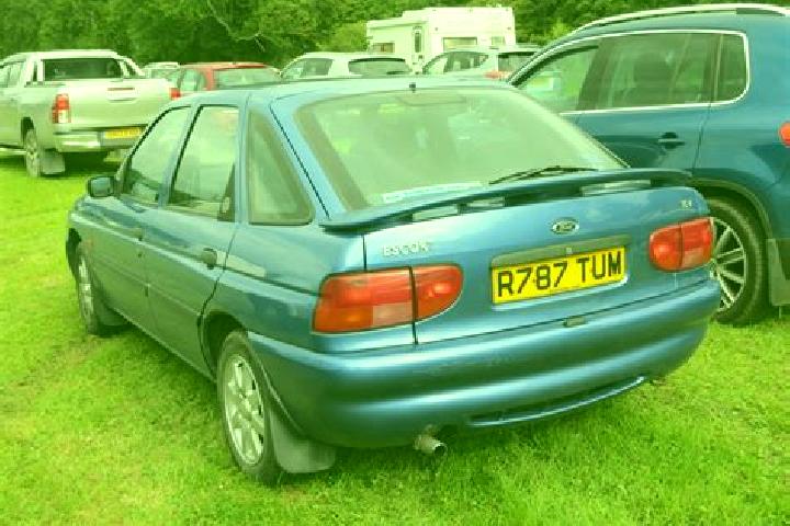 escort Snitterfield