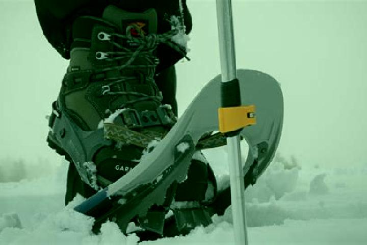escort Snow Shoe