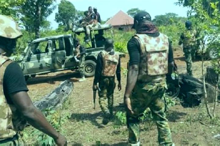 escort Sofo-Birnin-Gwari