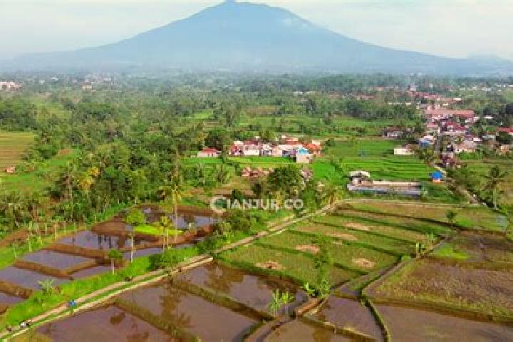 escort Solokpandan