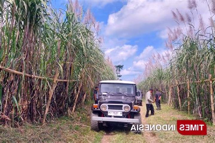 escort Songgon Krajan