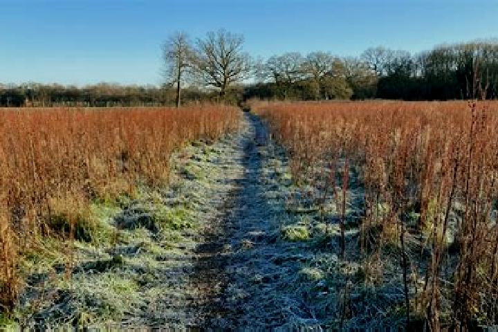 escort Sonning Common