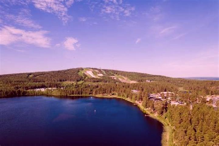 escort Sotkamo