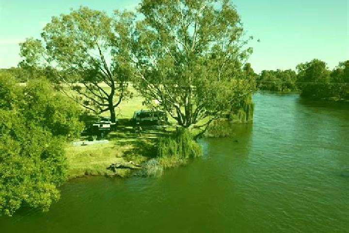 escort South Albury