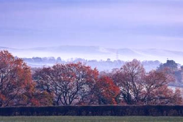 escort South Ashburnham