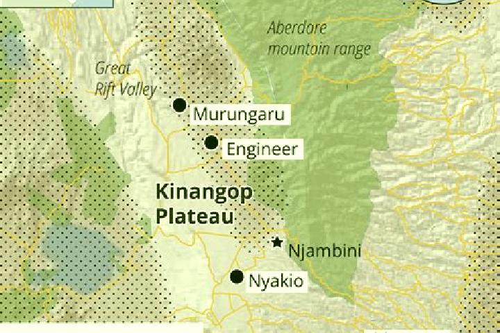 escort South Kinangop