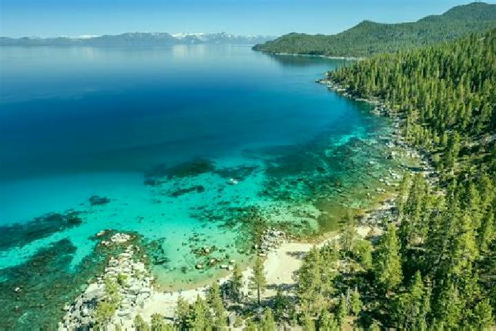 escort South Lake Tahoe