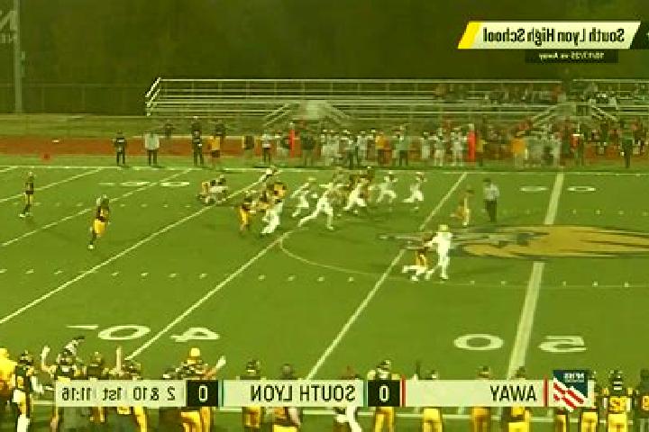 escort South Lyon