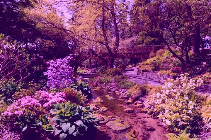 escort South Portland Gardens