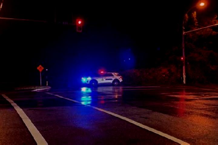 escort South Surrey