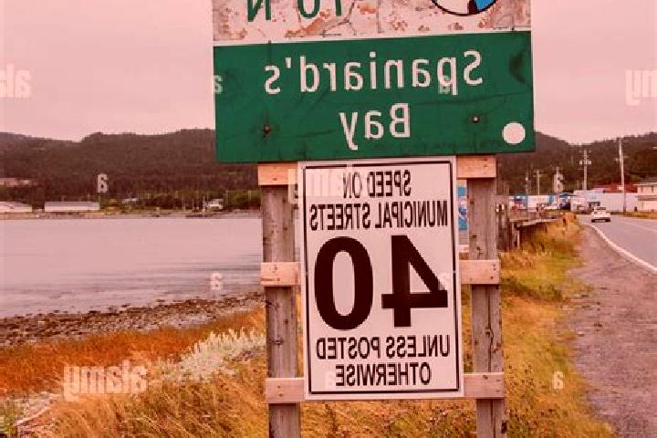 escort Spaniard s Bay