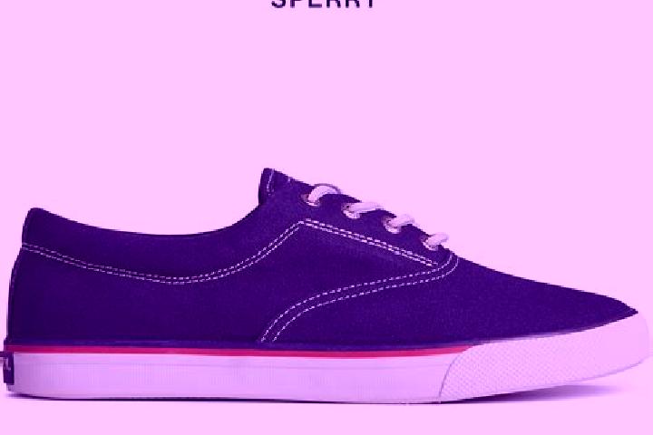 escort Sperry