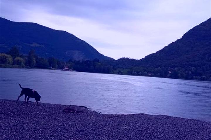escort Spinone al Lago