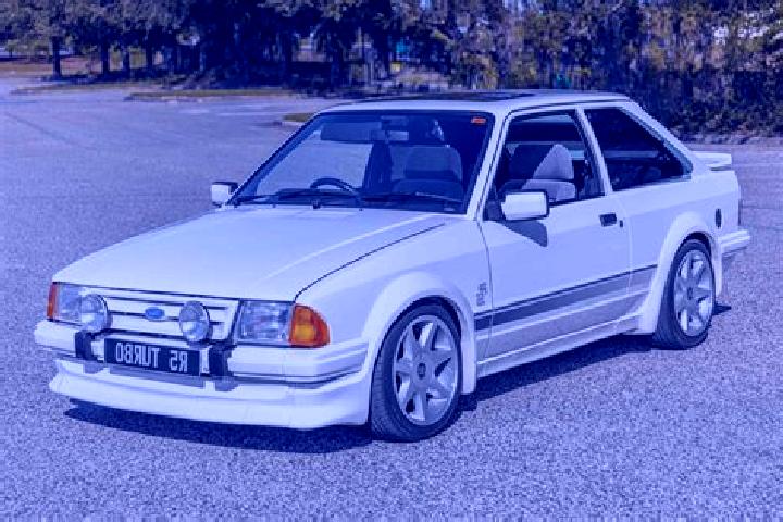 escort Spitz