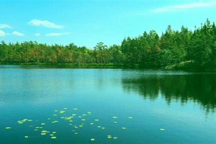 escort Spring Lake