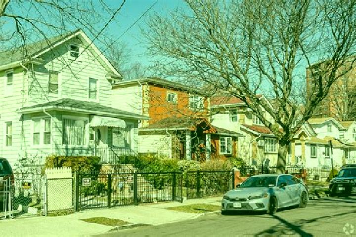 escort Springfield Gardens