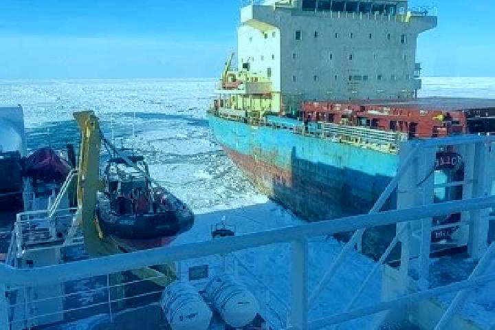 escort St Lawrence