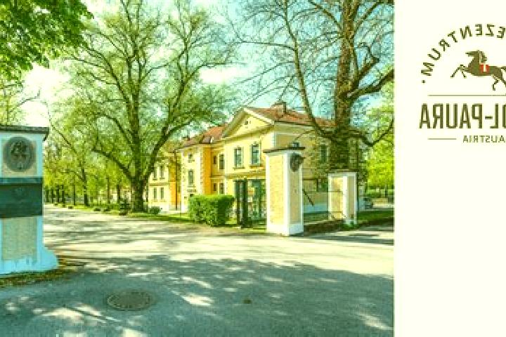 escort Stadl-Paura