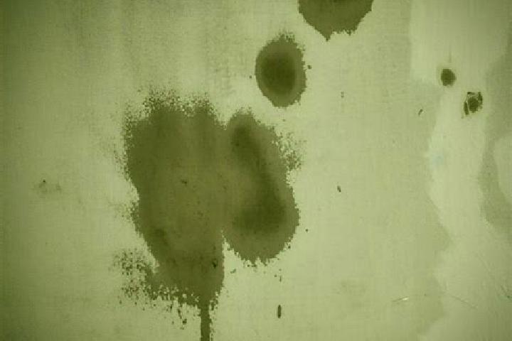 escort Stains