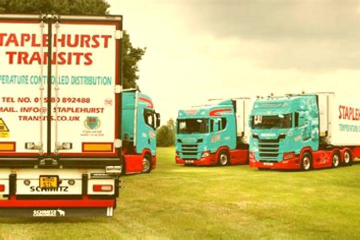 escort Staplehurst