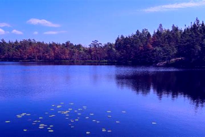 escort Star Lake