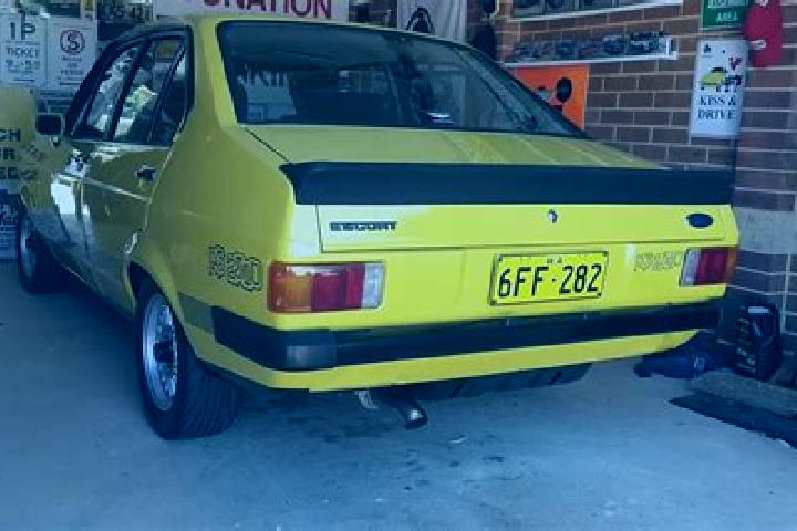 escort Startup