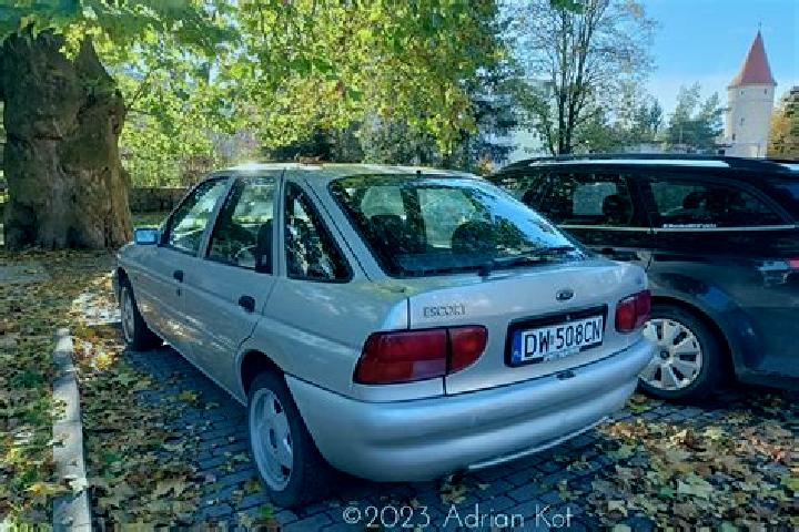 escort Statzendorf