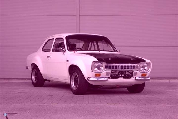 escort Steenbecque