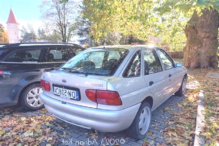 escort Steenfeld